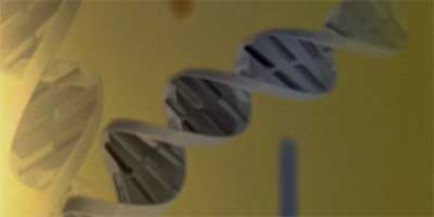 link to Genome 3