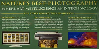link to 2012 Photography 1