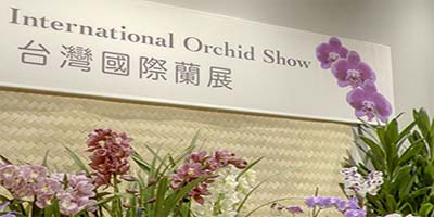 link to 2011 Orchids 3