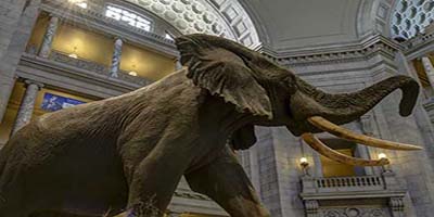 link to Rotunda: North