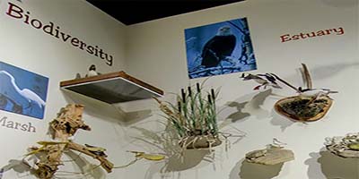 link to Discovery Room