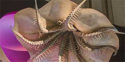 link to Sant Ocean Hall: Deep Ocean