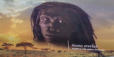 link to Human Origins: Time Portal
