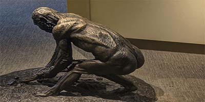 link to Human Origins: New Tools