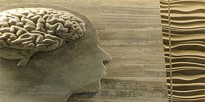 link to Human Origins: Social Life
