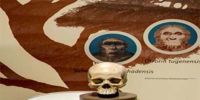 link to Human Origins: Neanderthal