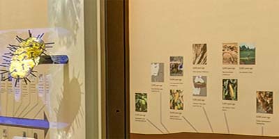 link to Human Origins: Changes