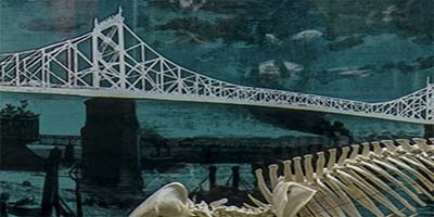 link to Bones 4