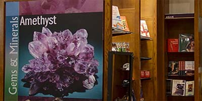 link to Museum Shop 1