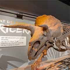 link to The Last American Dinosaurs 1