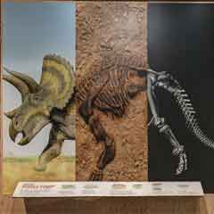 link to The Last American Dinosaurs 3