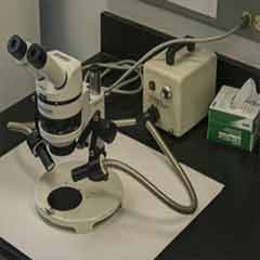SMS Chemistry/Histology Laboratory, east side