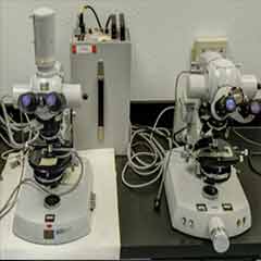 SMS Microscopy Room