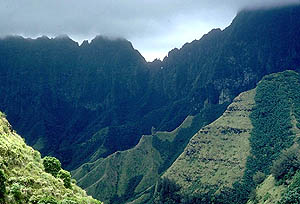 Fatu Hiva. Photo by W.L. Wagner, NMNH