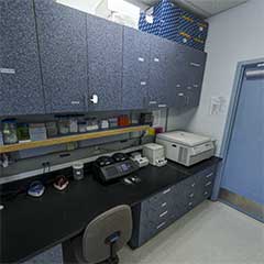 SMS Molecular Laboratory